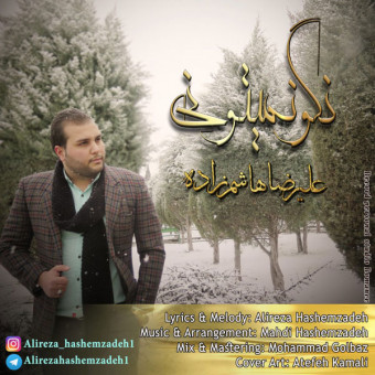 دانلود آهنگ علیرضا هاشم زاده به نام نگو نمیتونی