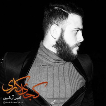 دانلود آهنگ امین آرشین به نام کجای کاری