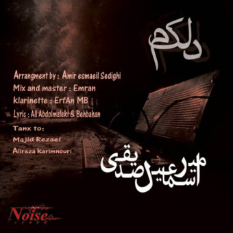 دانلود آهنگ امیر اسماعیل صدیقی به نام دلکم