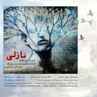دانلود آهنگ امیر بقراطی به نام نازلی