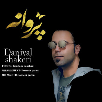 دانلود آهنگ دانیال شکاری به نام پروانه