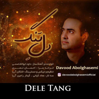 دانلود آهنگ داوود ابوالقاسمی به نام دل تنگ