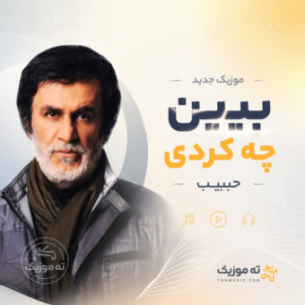 دانلود آهنگ حبیب ببین چه کردی