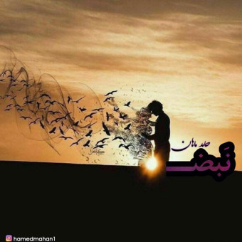 دانلود آهنگ حامد ماهان به نام نبض