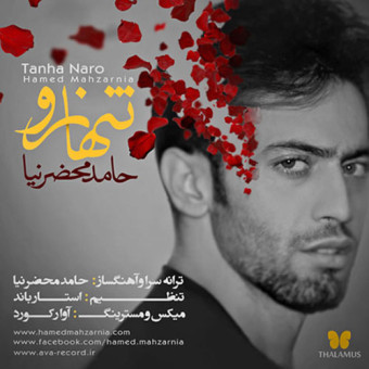 ​دانلود آهنگ حامد محضرنیا به نام تنها نرو