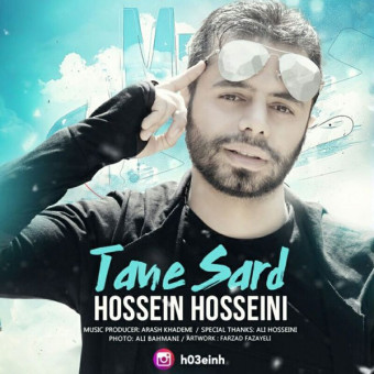 دانلود آهنگ حسین حسینی به نام تن سرد