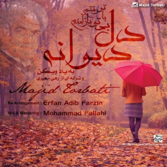  دانلود آهنگ مجید تربتی به نام دل دیوانه