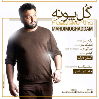 دانلود آهنگ مهدی مقدم به نام گل پونه