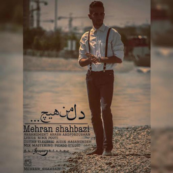 دانلود آهنگ مهران شهبازی به نام دل من هیچ
