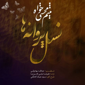 دانلود آهنگ میثم محسنی به نام نسل پروانه ها