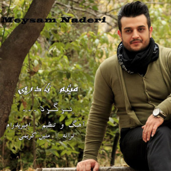 دانلود آهنگ میثم نادری به نام برگرد