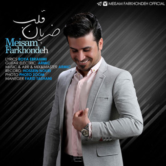 دانلود آهنگ میثم فرخنده به نام ضربان قلب