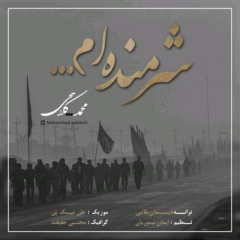 دانلود آهنگ محمد کلاهچی به نام شرمنده ام
