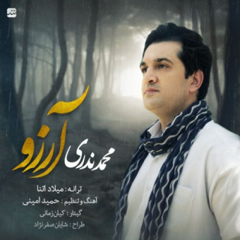 دانلود آهنگ محمد ندری به نام آرزو