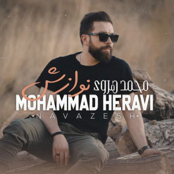 دانلود آهنگ محمد هروی به نام نوازش