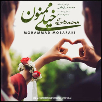 دانلود آهنگ محمد مبارکی به نام خیلی ممنون