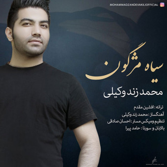 دانلود آهنگ محمد زند وکیلی به نام سیاه مژگون