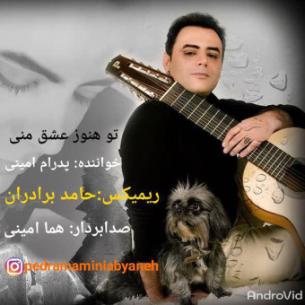 دانلود آهنگ پدرام امینی به نام تو هنوز عشق منی ریمیکس