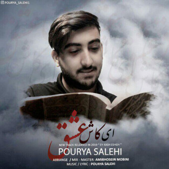 دانلود آهنگ پوریا صالحی به نام ای کاش عشق