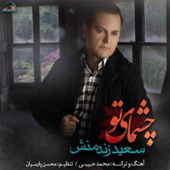 دانلود آهنگ سعید زندمنش به نام چشمای تو