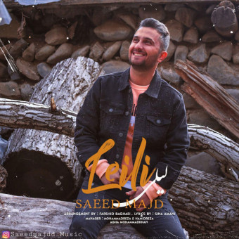 دانلود آهنگ سعید مجد به نام لیلی