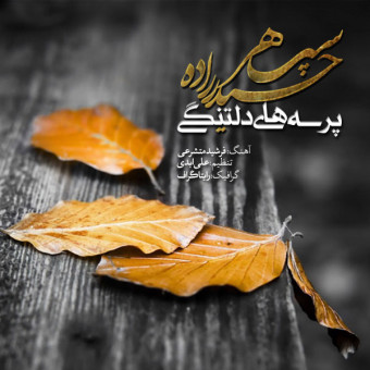 دانلود آهنگ سپهر حیدر زاده به نام پرسه های دلتنگی