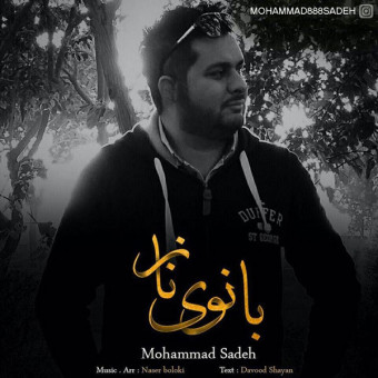 دانلود آهنگ محمد ساده به نام بانوی ناز